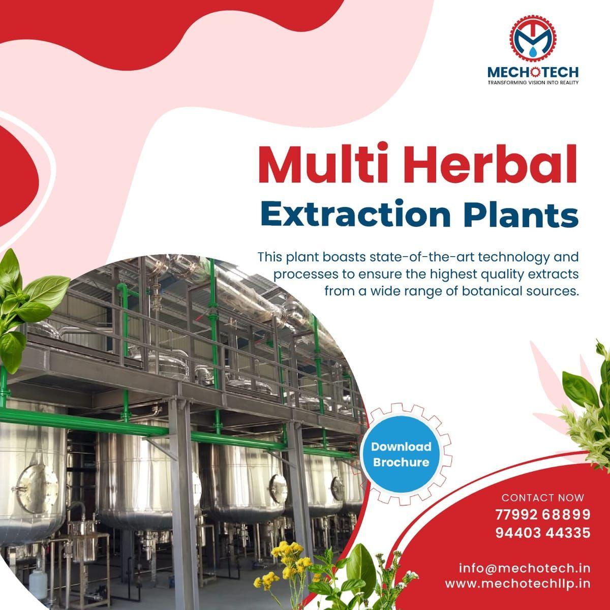 Ginger Extraction Plants — Industrial Production of Ginger Extract, Ginger Oil and Ginger Oleoresin