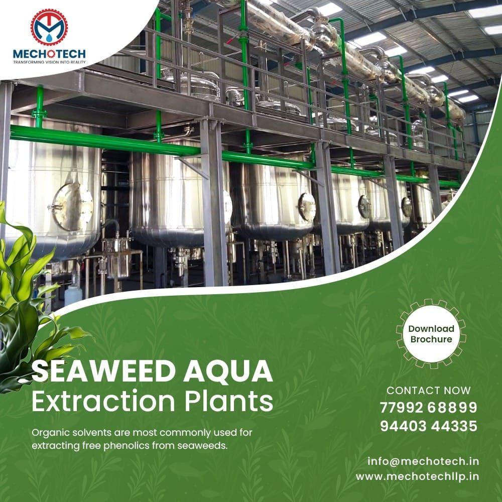 Green Tea Extraction Plant — Industrial Production of Polyphenol, Catechin and EGCG-Rich Extracts