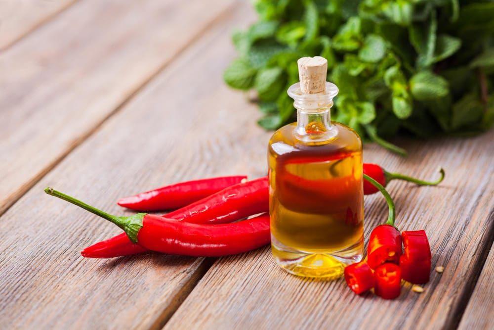 Chilli Fruit Capsaicinoids (CO₂) CO2 Extraction Plants — Mechotech
