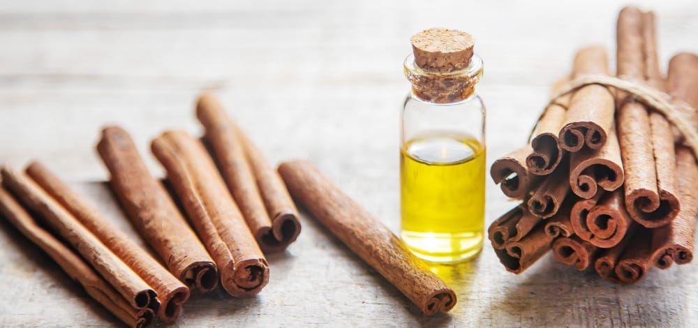 Cinnamon — Leaves / Bark Spices Oils Distillation Plants — Mechotech