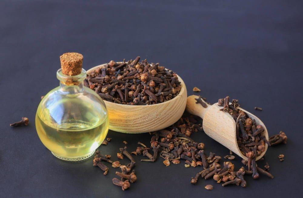 Clove — Leaves Leaves Oils Distillation Plants — Mechotech