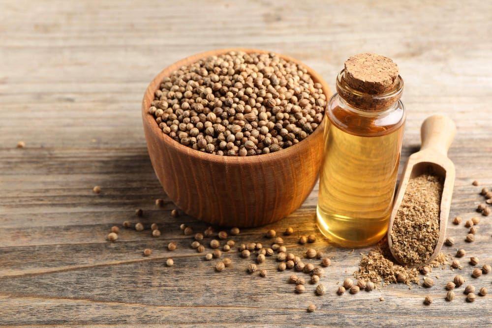 Coriander Spices Oleoresin Extraction Plants — Mechotech