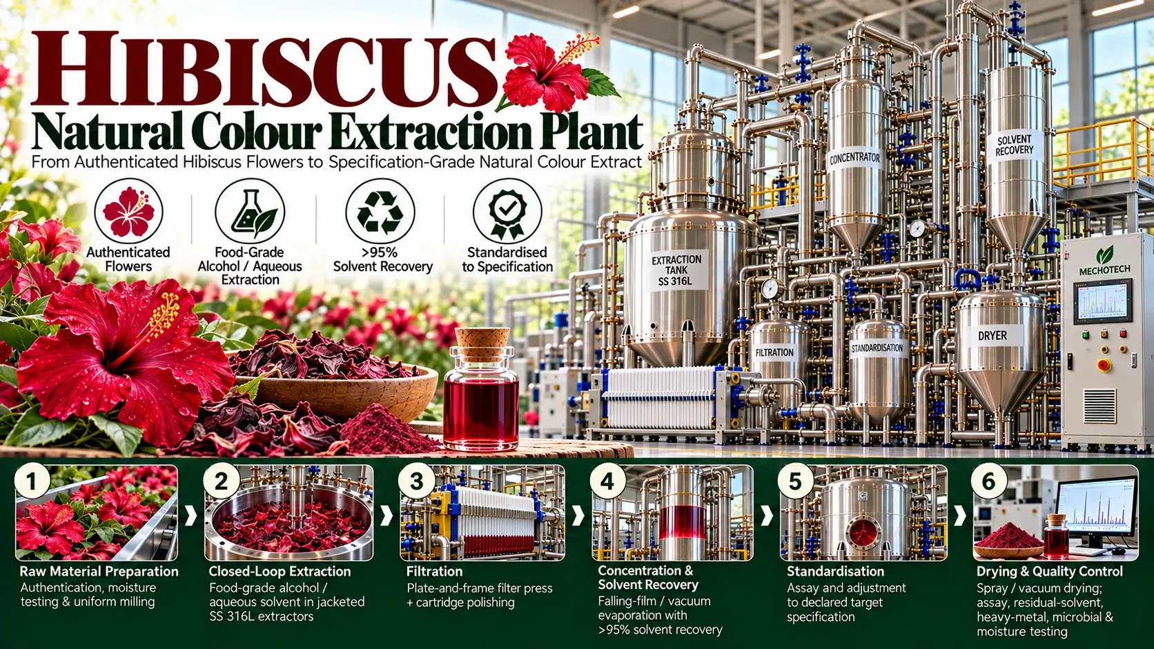 Hibiscus flower extraction plant