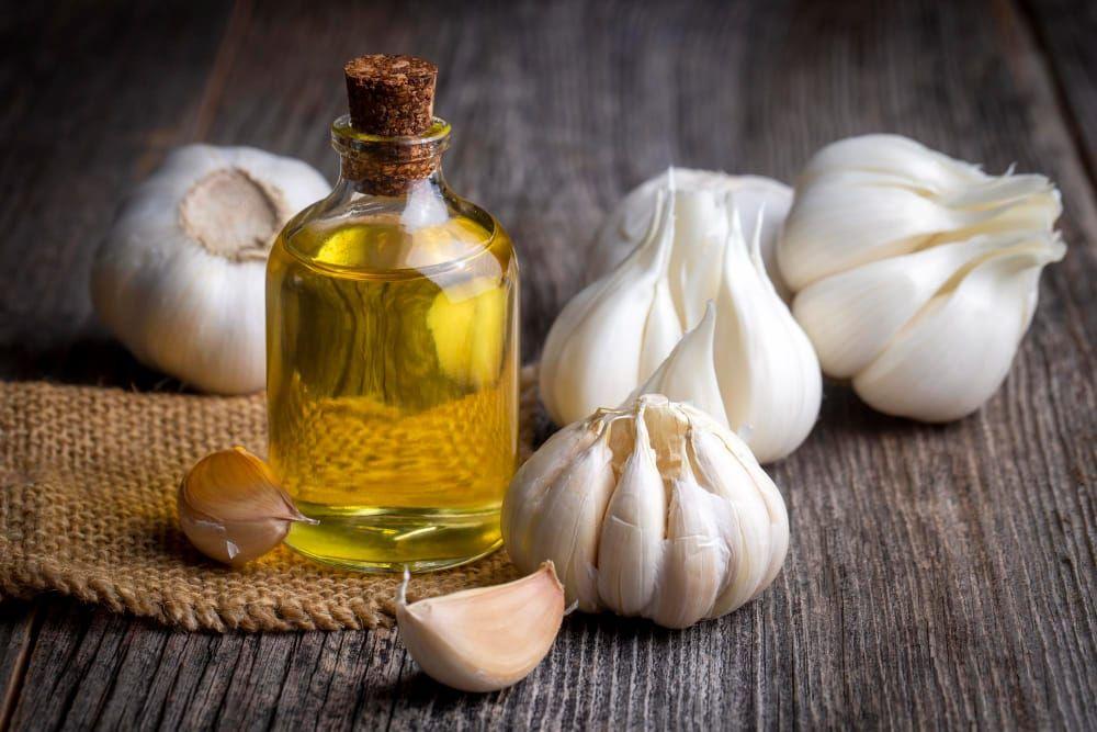 Garlic Spices Oleoresin Extraction Plants — Mechotech