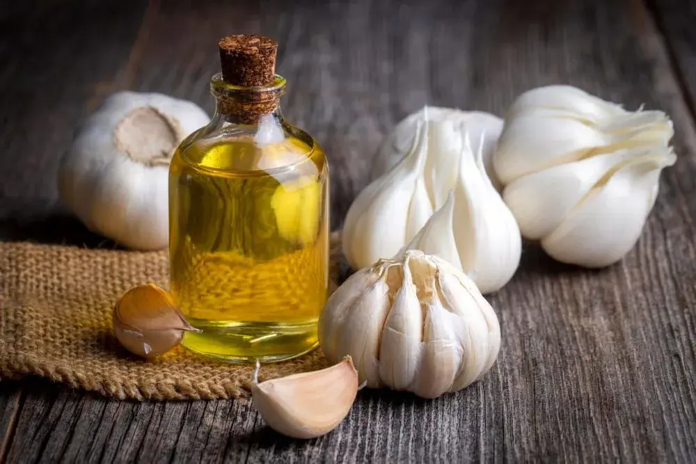 Garlic