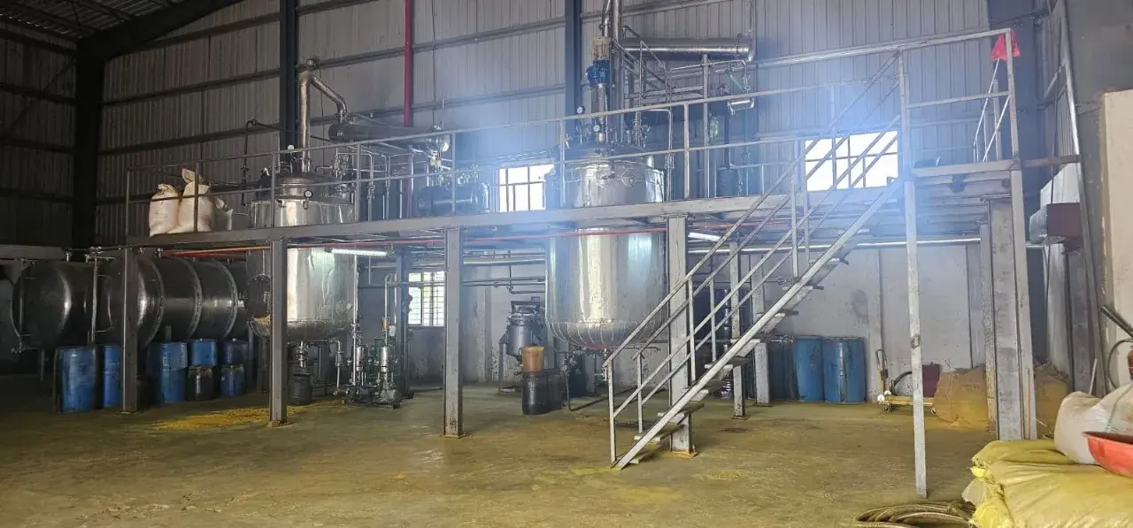 Brown Algae Fucus Fucoidan Extract Herbal Extraction Plants — Mechotech