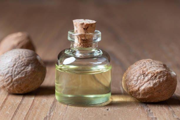 Nutmeg — Oleoresin Spices Oleoresin Extraction Plants — Mechotech