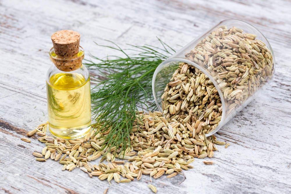 Sweet Fennel