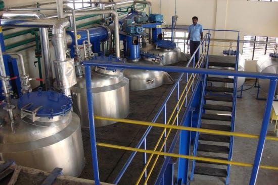 Cypress — Needles Needles & Twigs Distillation Plants — Mechotech