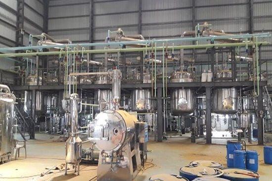Fennel — Oleoresin Spices Oleoresin Extraction Plants — Mechotech