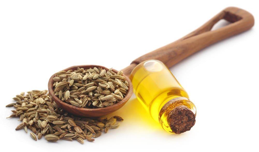 Ajwain — Oleoresin Spices Oleoresin Extraction Plants — Mechotech