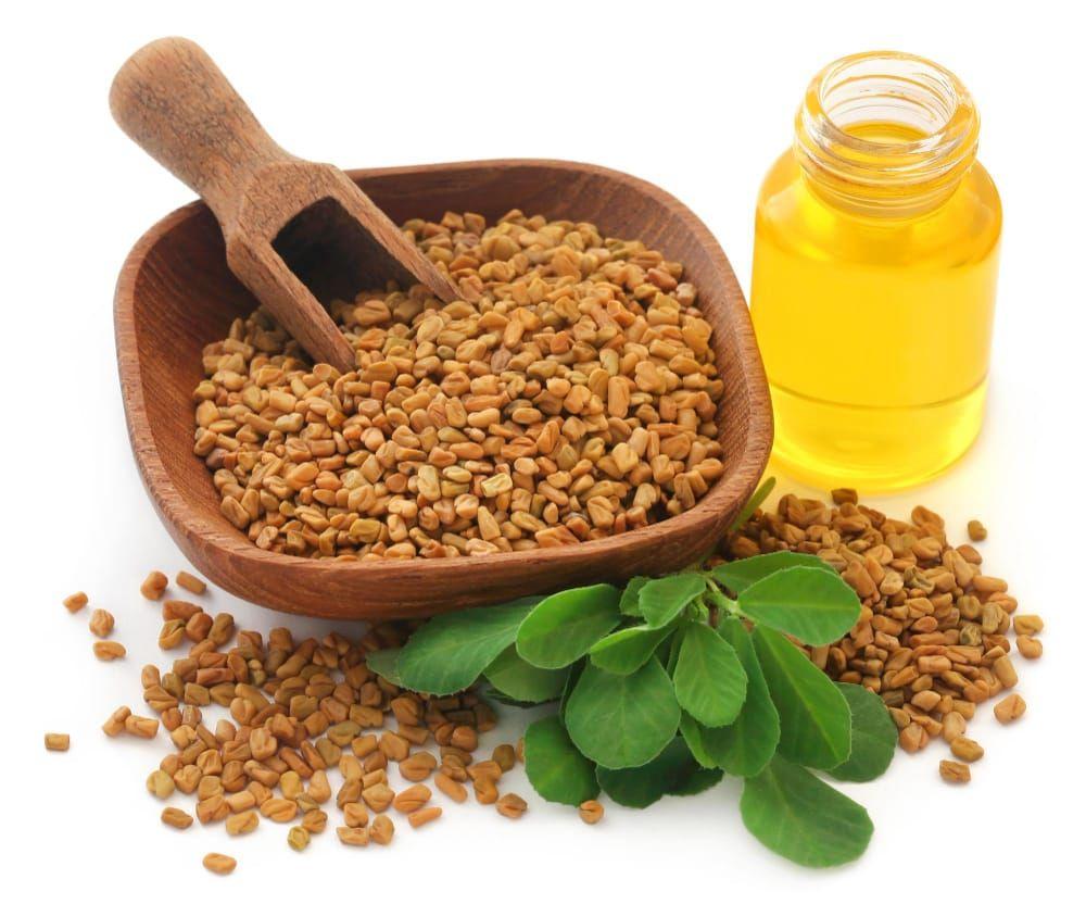 Fenugreek Spices Oleoresin Extraction Plants — Mechotech