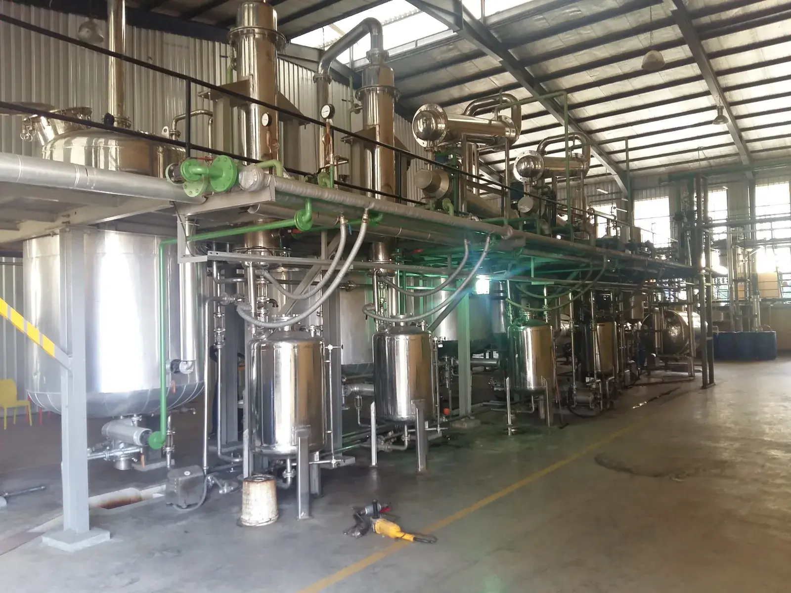 Buriti Fruit Polysaccharide Extract Herbal Extraction Plants — Mechotech