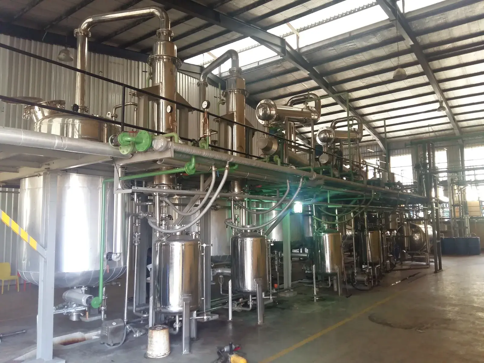Cactus Cladode Mucilage Extract Herbal Extraction Plants — Mechotech