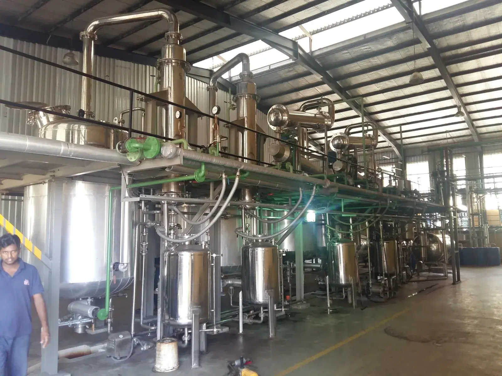Cashew Apple Polyphenol Extract Herbal Extraction Plants — Mechotech