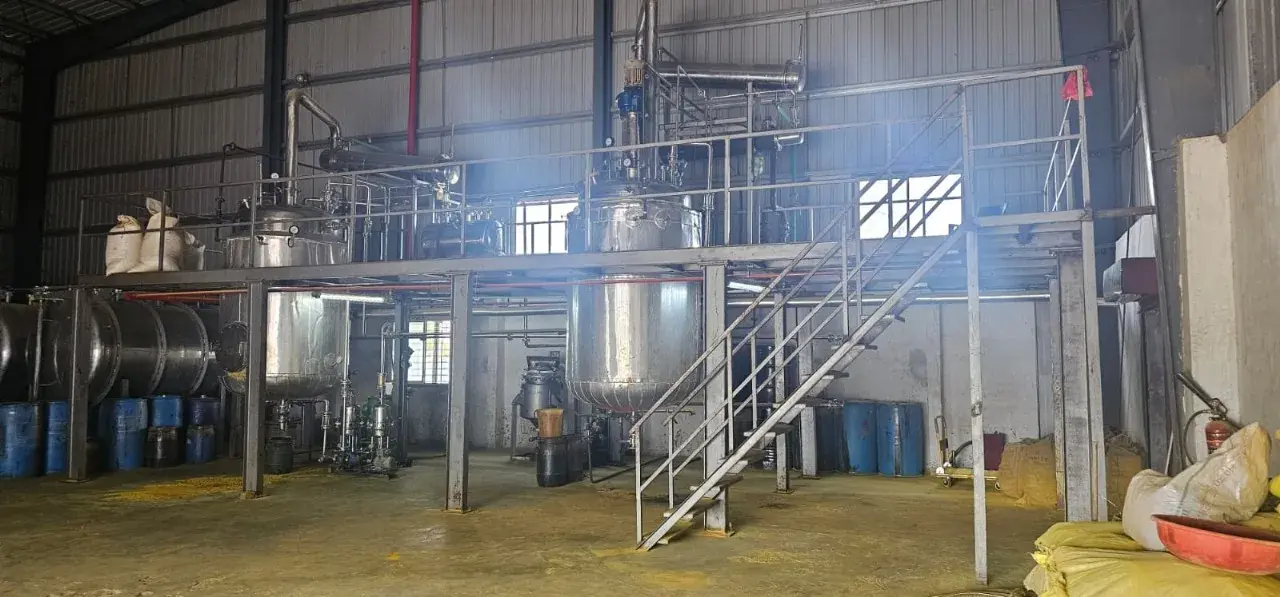 African Spinach Leaf Extract Herbal Extraction Plants — Mechotech