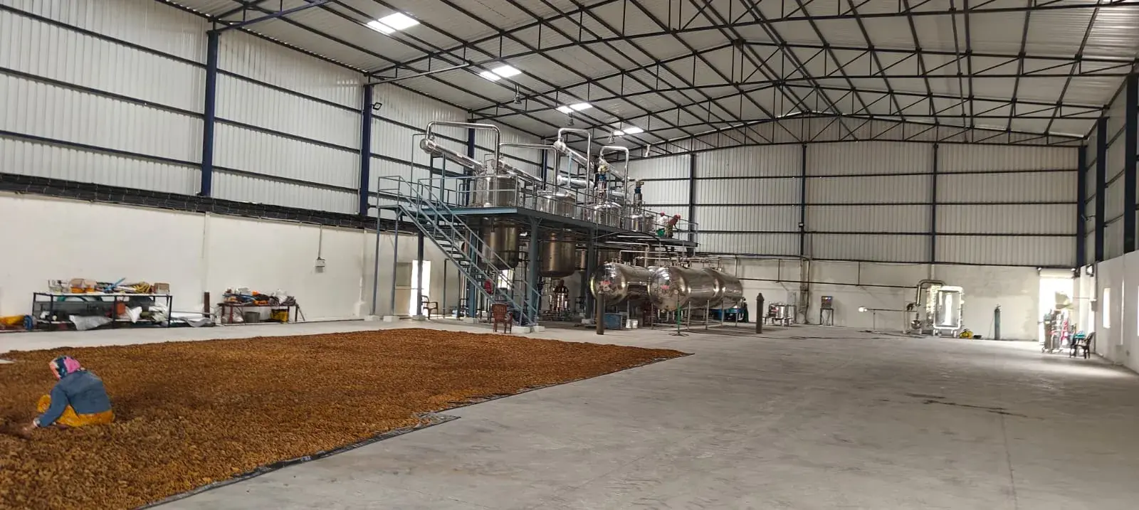 Baobab Fruit Pulp Extract Herbal Extraction Plants — Mechotech