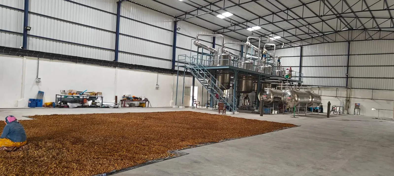 Borassus Fruit Pulp Soluble Fiber Extract Herbal Extraction Plants — Mechotech