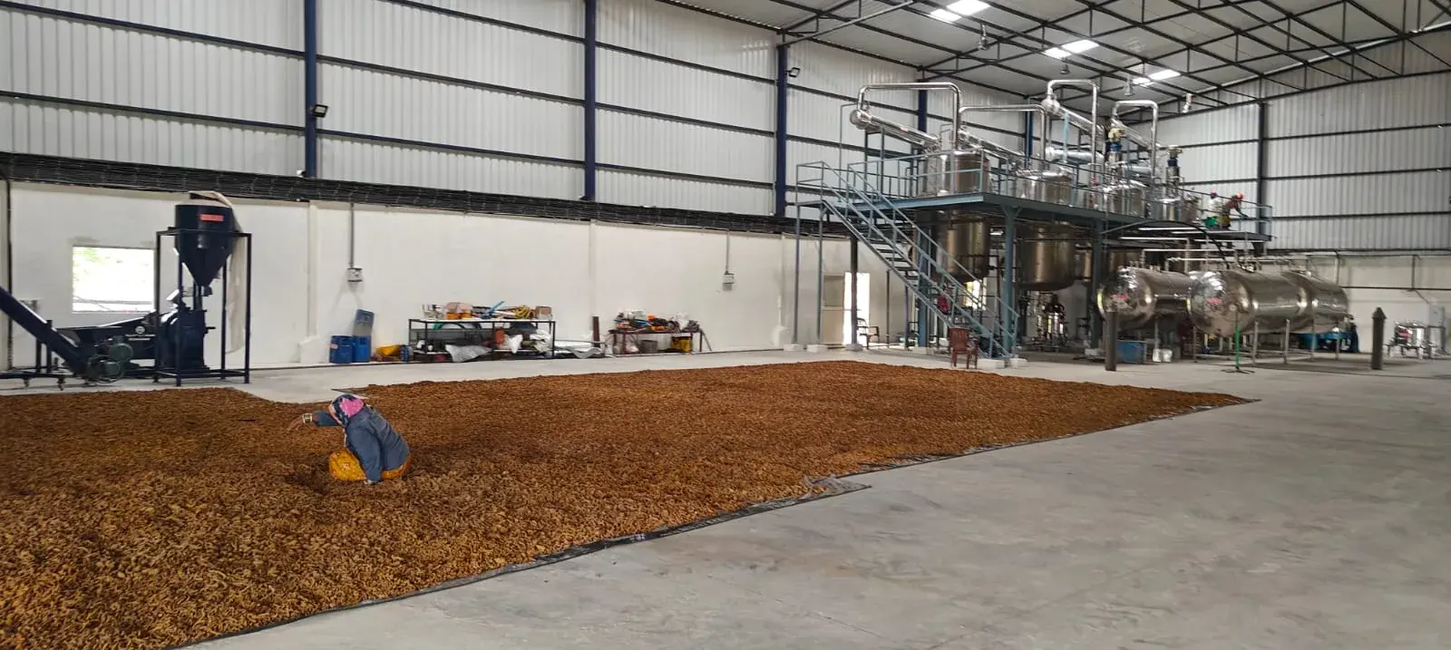Broccoli Stem Soluble Fiber Extract Herbal Extraction Plants — Mechotech