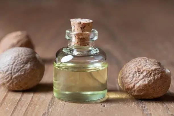 Nutmeg Oleoresin by Mechotech