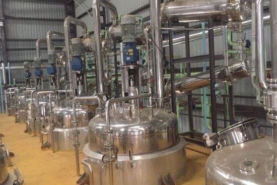 Ambrette Seed Seeds & Berries Extraction Plants — Mechotech