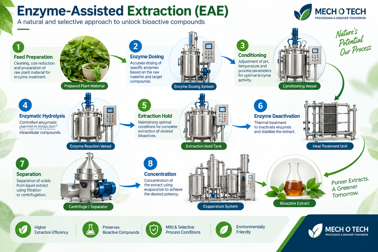 Mechotech enzyme-assisted extraction process flow — feed preparation, enzyme dosing, temperature and pH conditioning, enzymatic hydrolysis, extraction hold, enzyme deactivation, separation and concentration