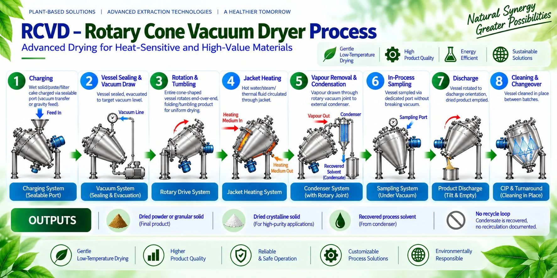 Mechotech RCVD Rotary Cone Vacuum Dryer process flow — charging, vessel sealing and vacuum draw, rotation and tumbling, jacket heating, vapour removal and condensation, in-process sampling, discharge, cleaning and changeover