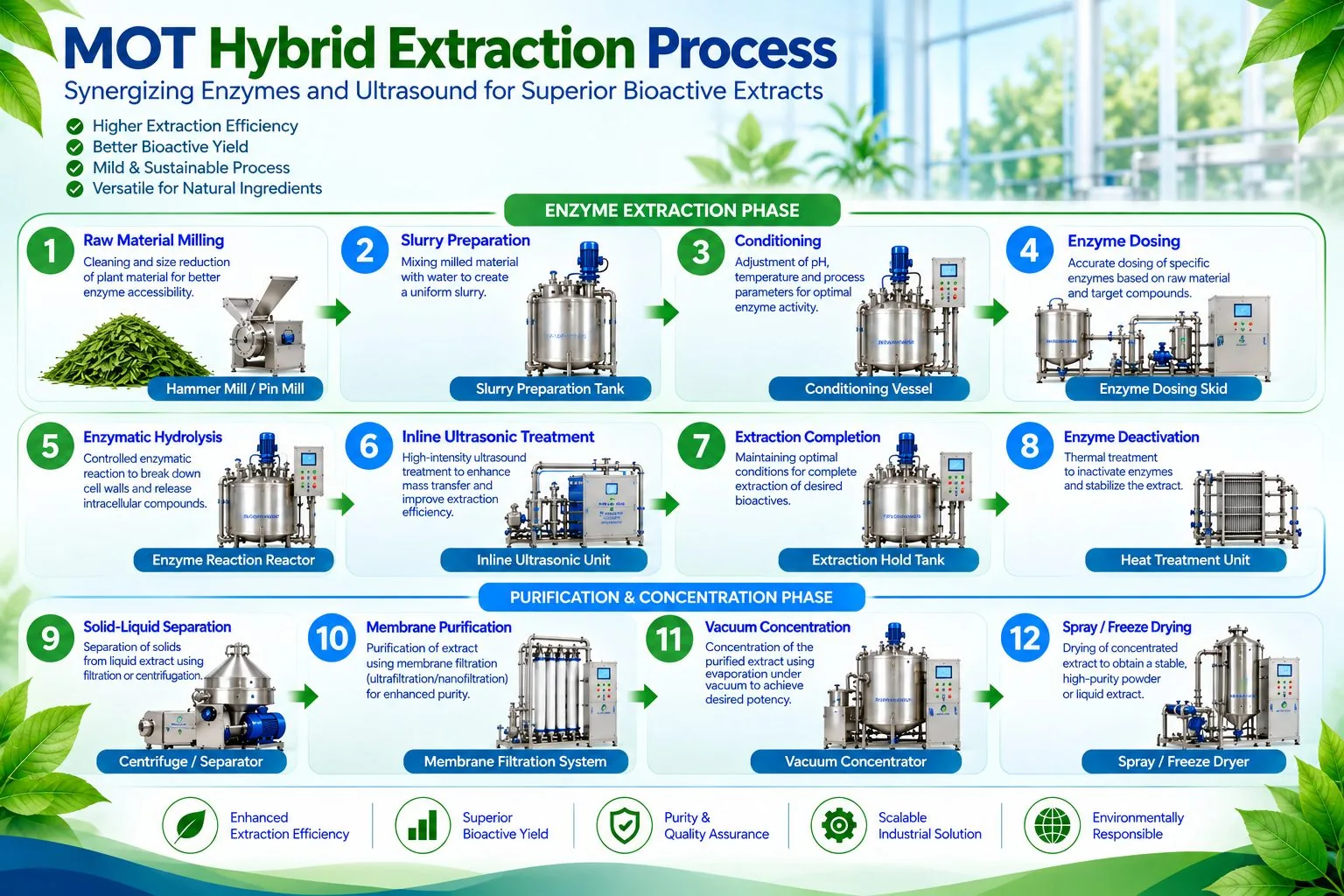 Mechotech Hybrid Extraction — Ultrasound-Assisted + Enzyme-Assisted Extraction (UAE + EAE) process flow — milling, slurry preparation, enzyme conditioning and dosing, controlled enzymatic hydrolysis, inline ultrasonic treatment, extraction completion, deactivation, separation, membrane purification, vacuum concentration and drying
